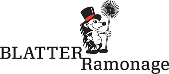 Logo Sponsor sponsor_6952b10e01ba8